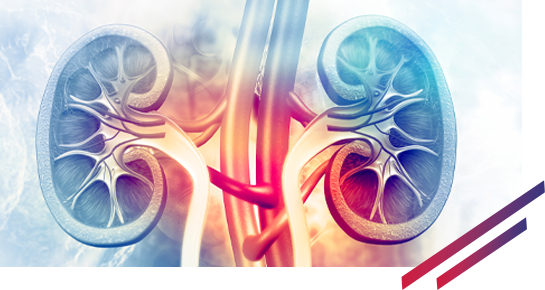 Renal diseases in pharmaceutical industries in Saint-Malo