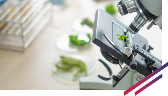 Genetic toxicology in cosmeti studies with C;RIS Pharma